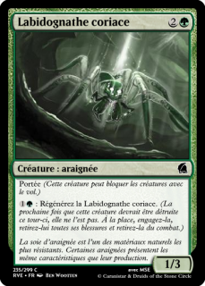 Labidognathe coriace